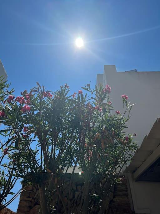 Appartement Great Penthouse With Pool And Private Roof Terrace Santanyí